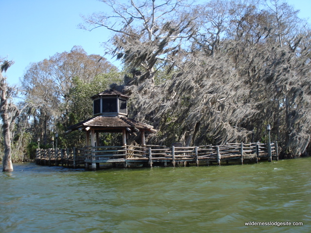 Snapshots from Bay Lake